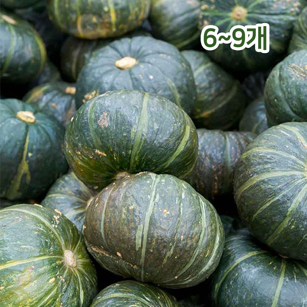 1655095135 thumbnail