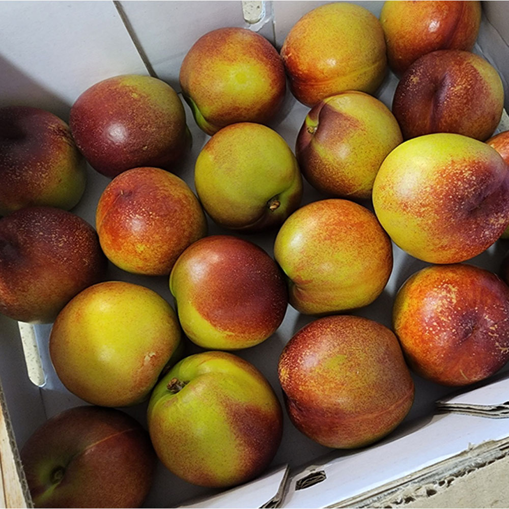 1655781159 thumbnail