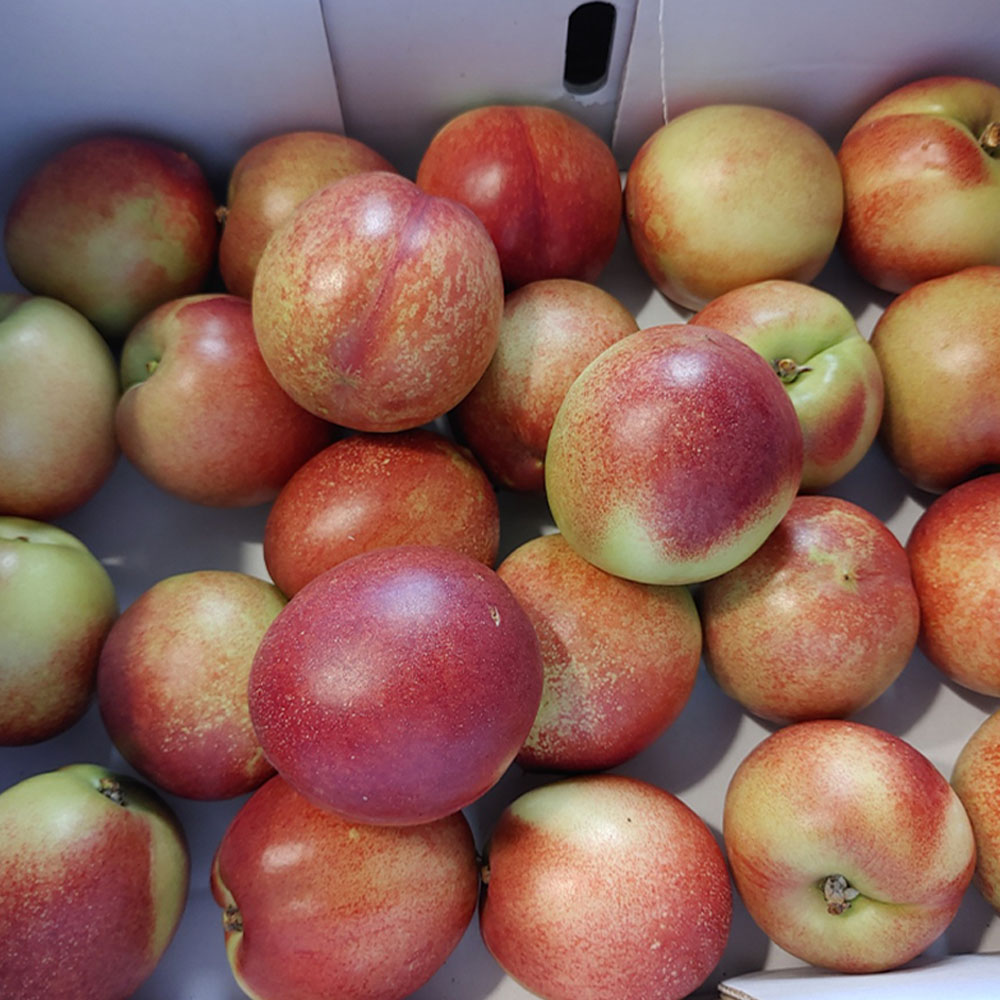 1655781160 thumbnail