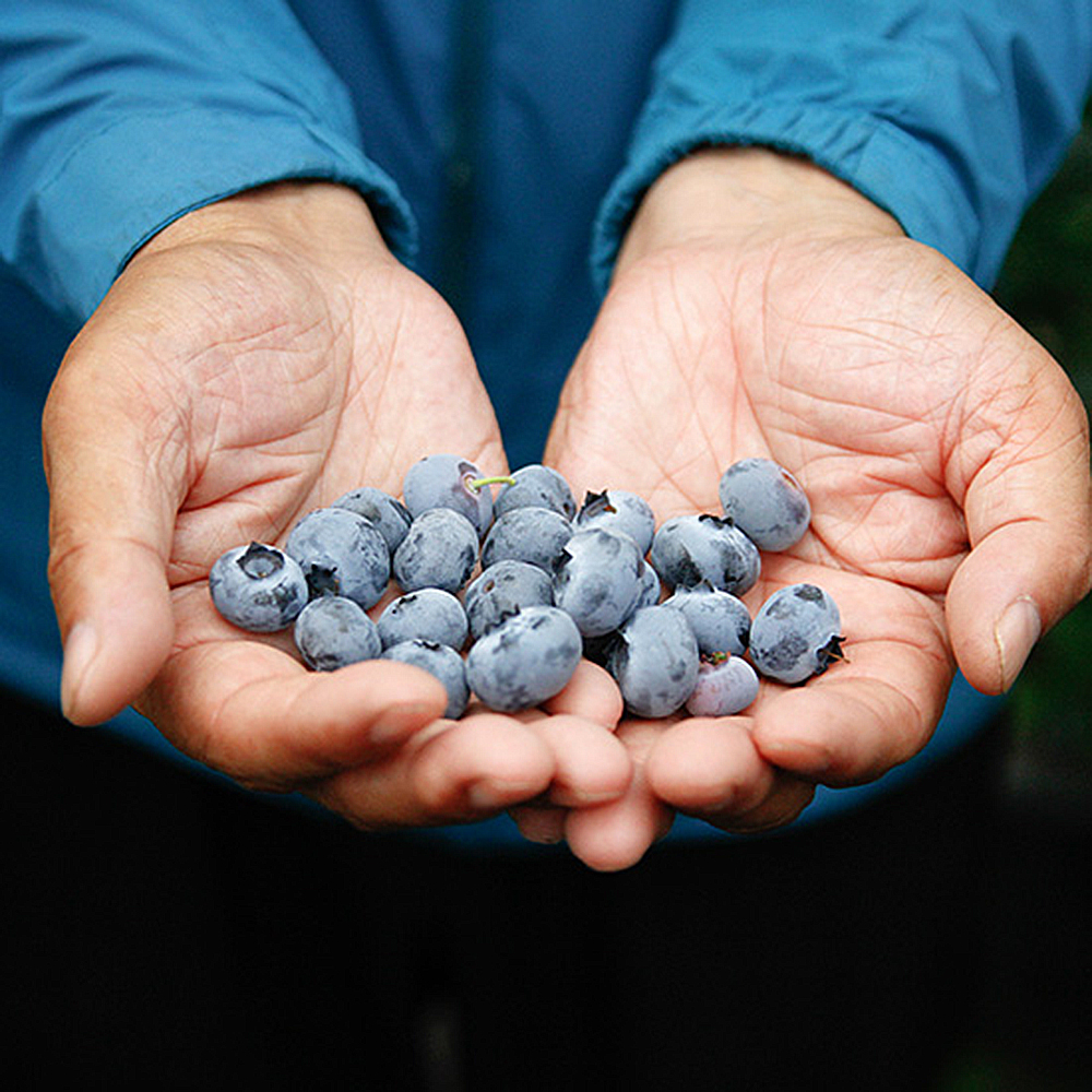 1655790294 thumbnail