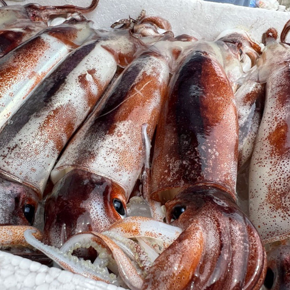 1655875564 thumbnail