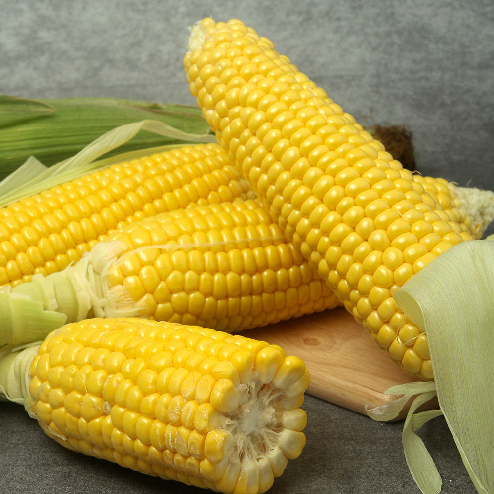 1656058812 thumbnail