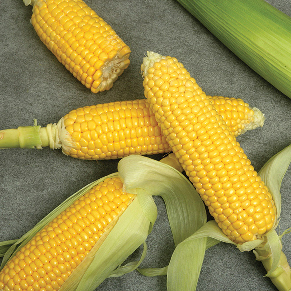 1656058813 thumbnail