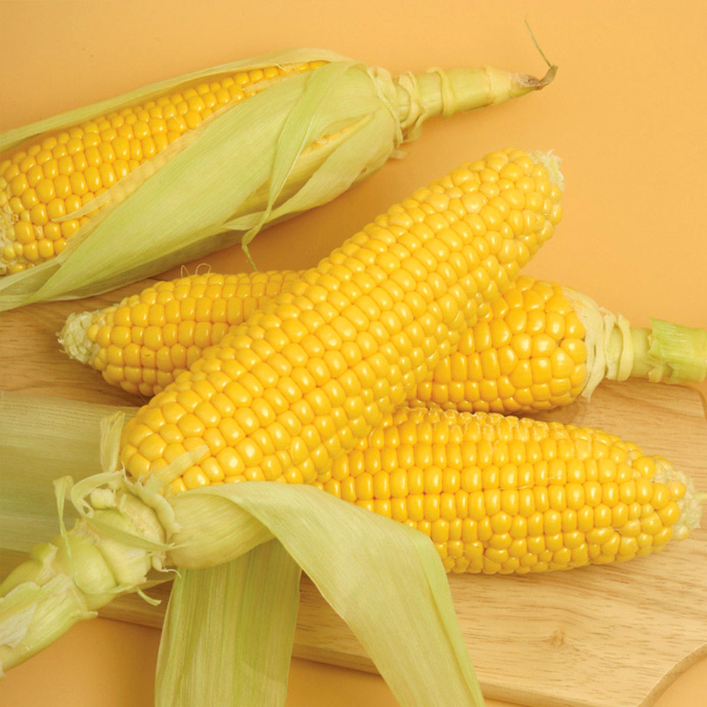 1656058814 thumbnail