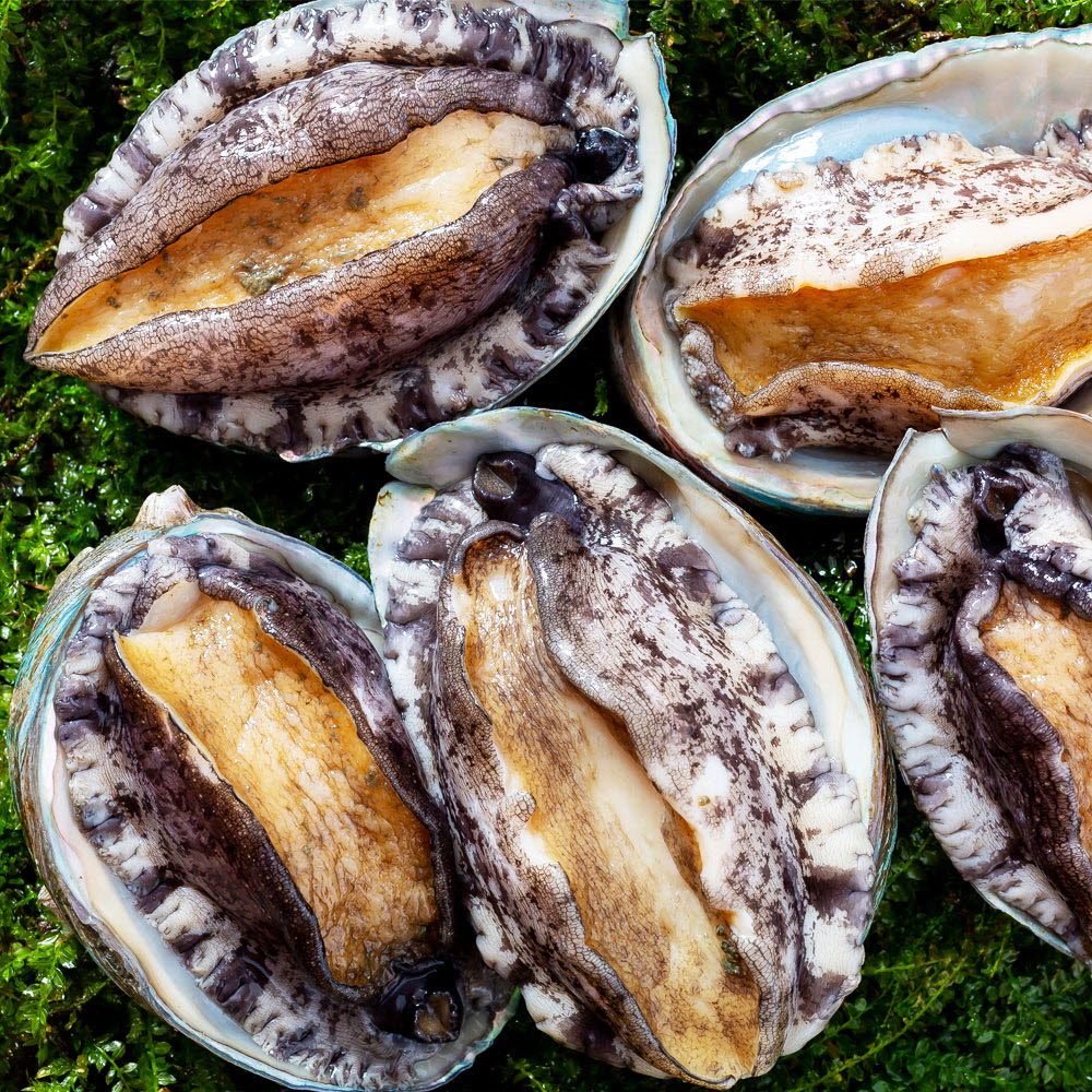 1656316462 thumbnail