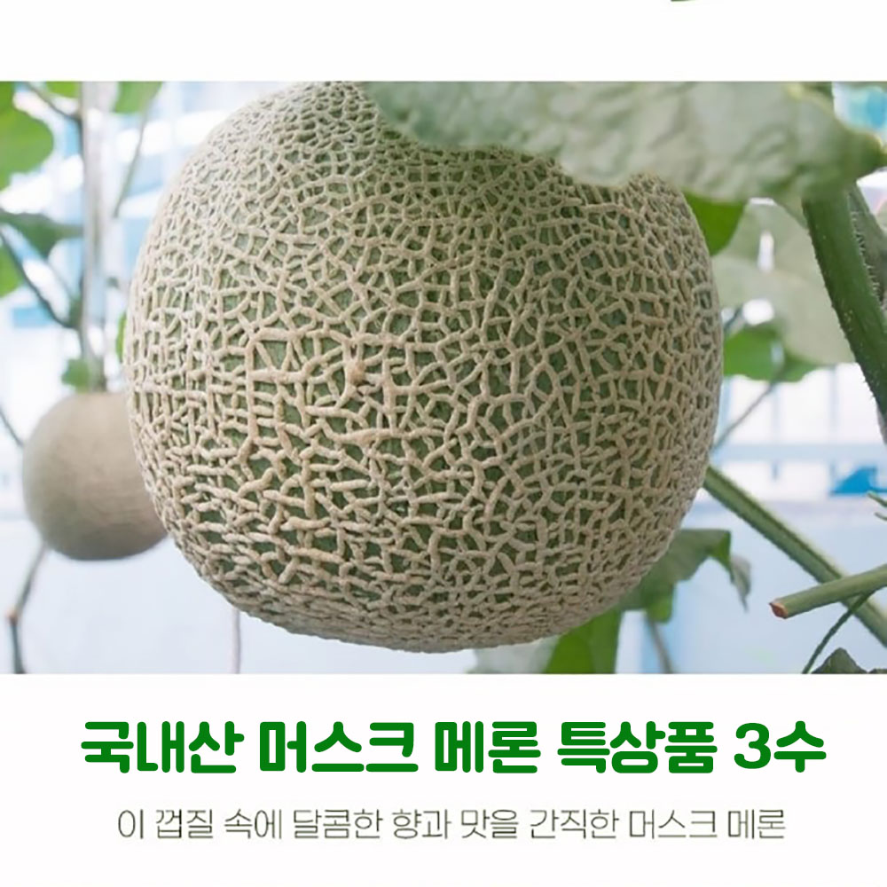 1656399465 thumbnail