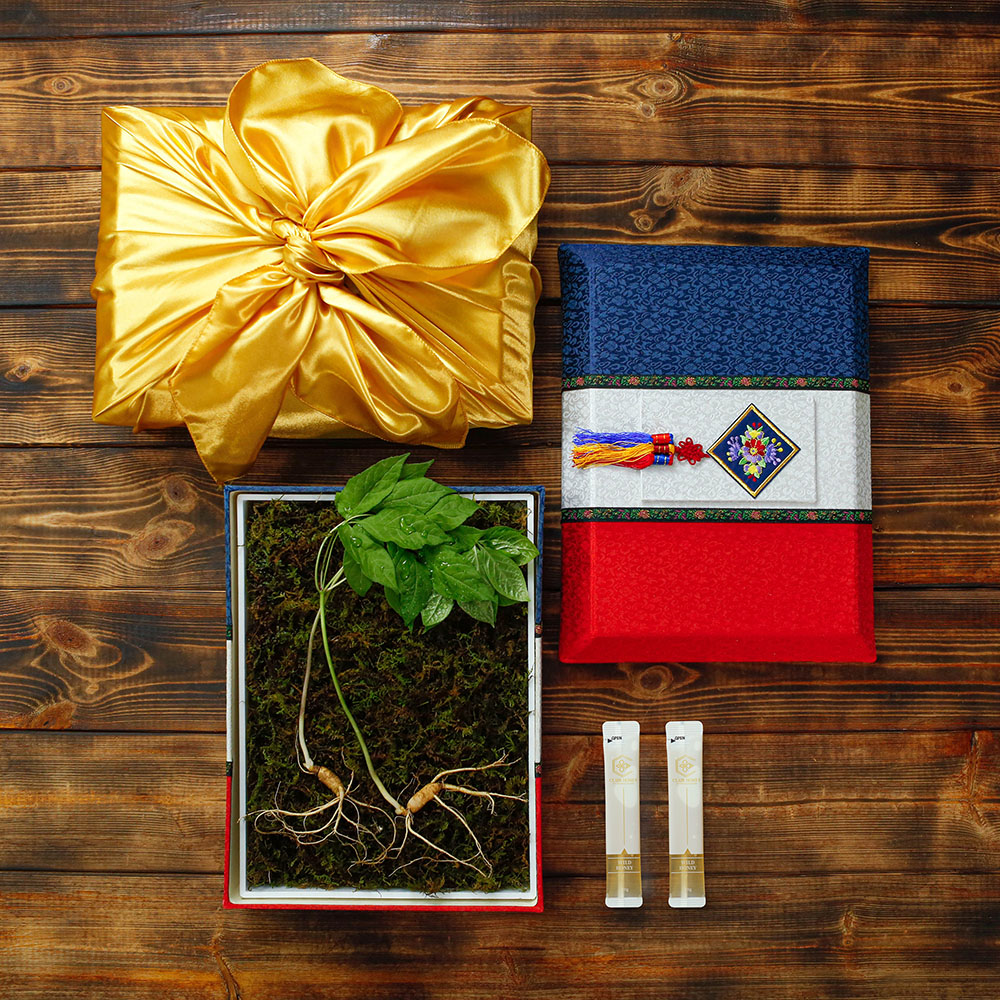 1656399487 thumbnail