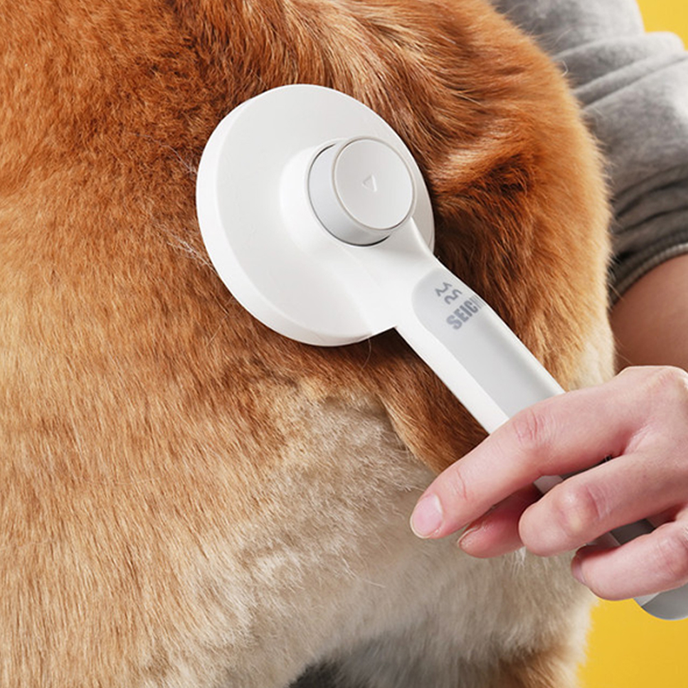 1656999115 thumbnail