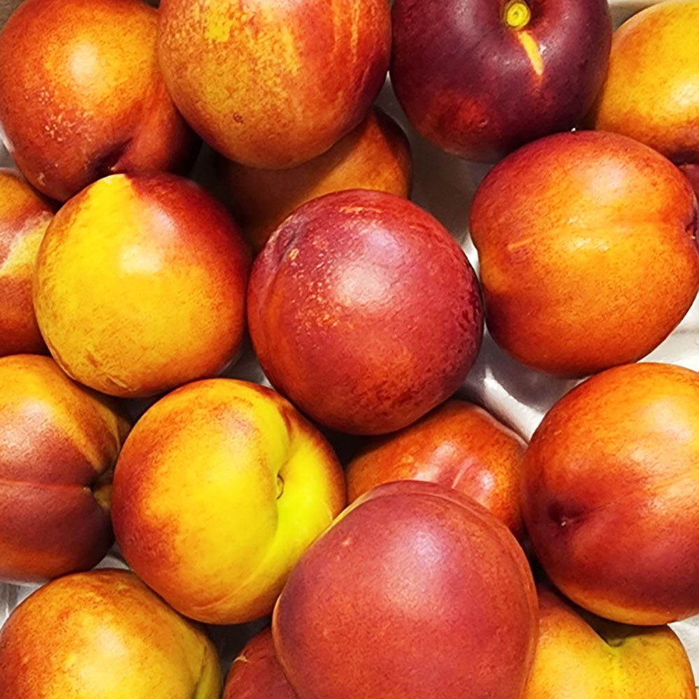 1657585366 thumbnail