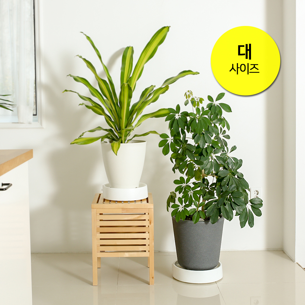 1657869963 thumbnail