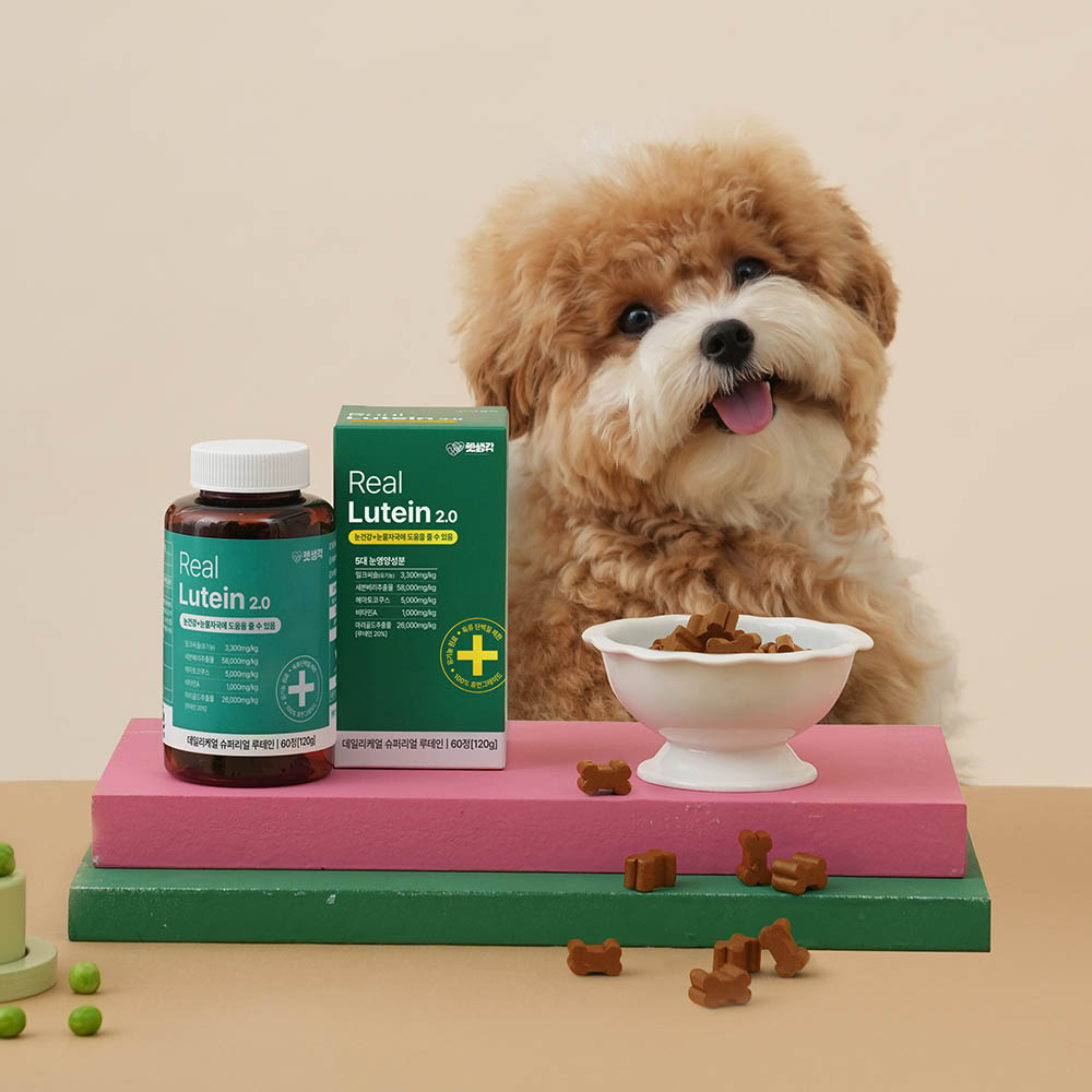 1658306639 thumbnail