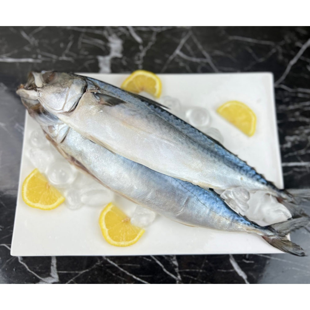 1658386326 thumbnail