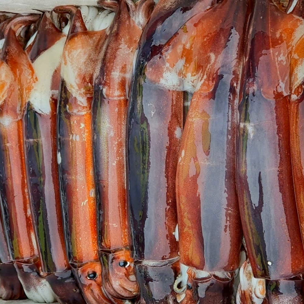 1658393220 thumbnail