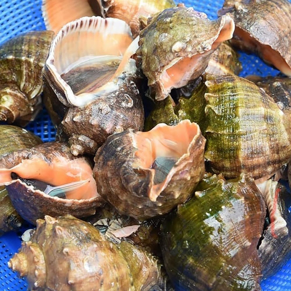 1658393221 thumbnail