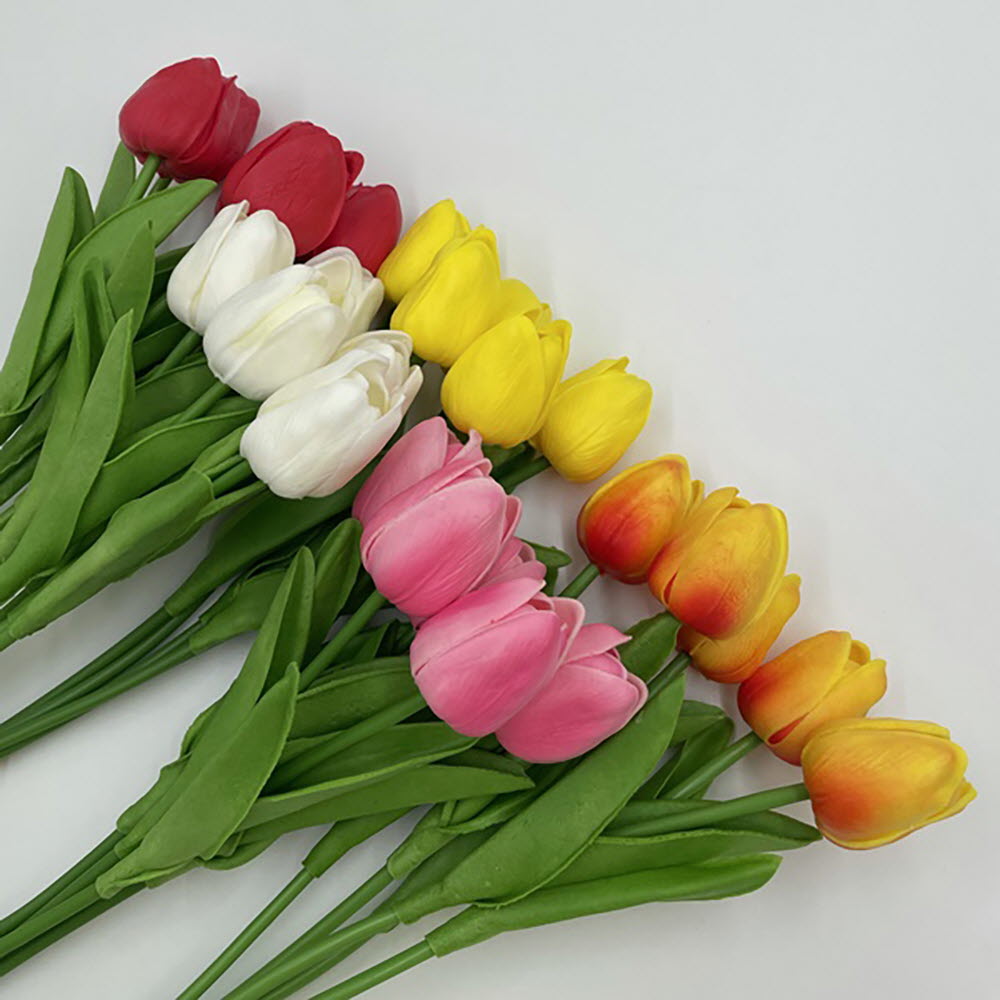 1658723912 thumbnail