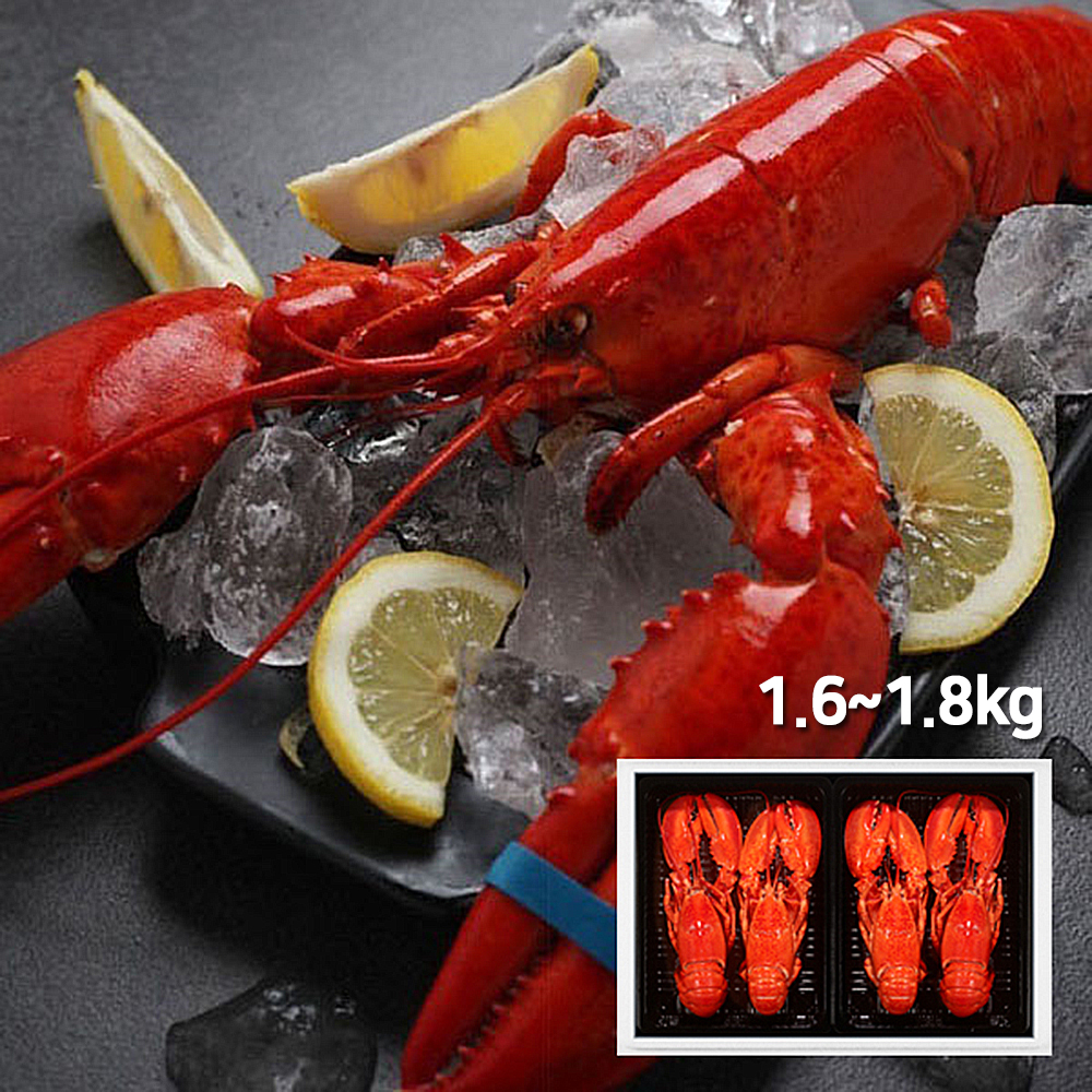 1658731980 thumbnail