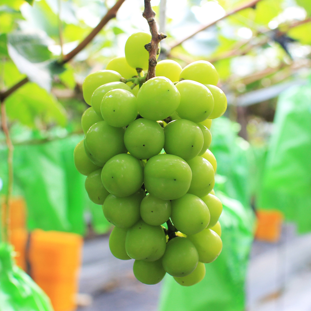 1658899883 thumbnail