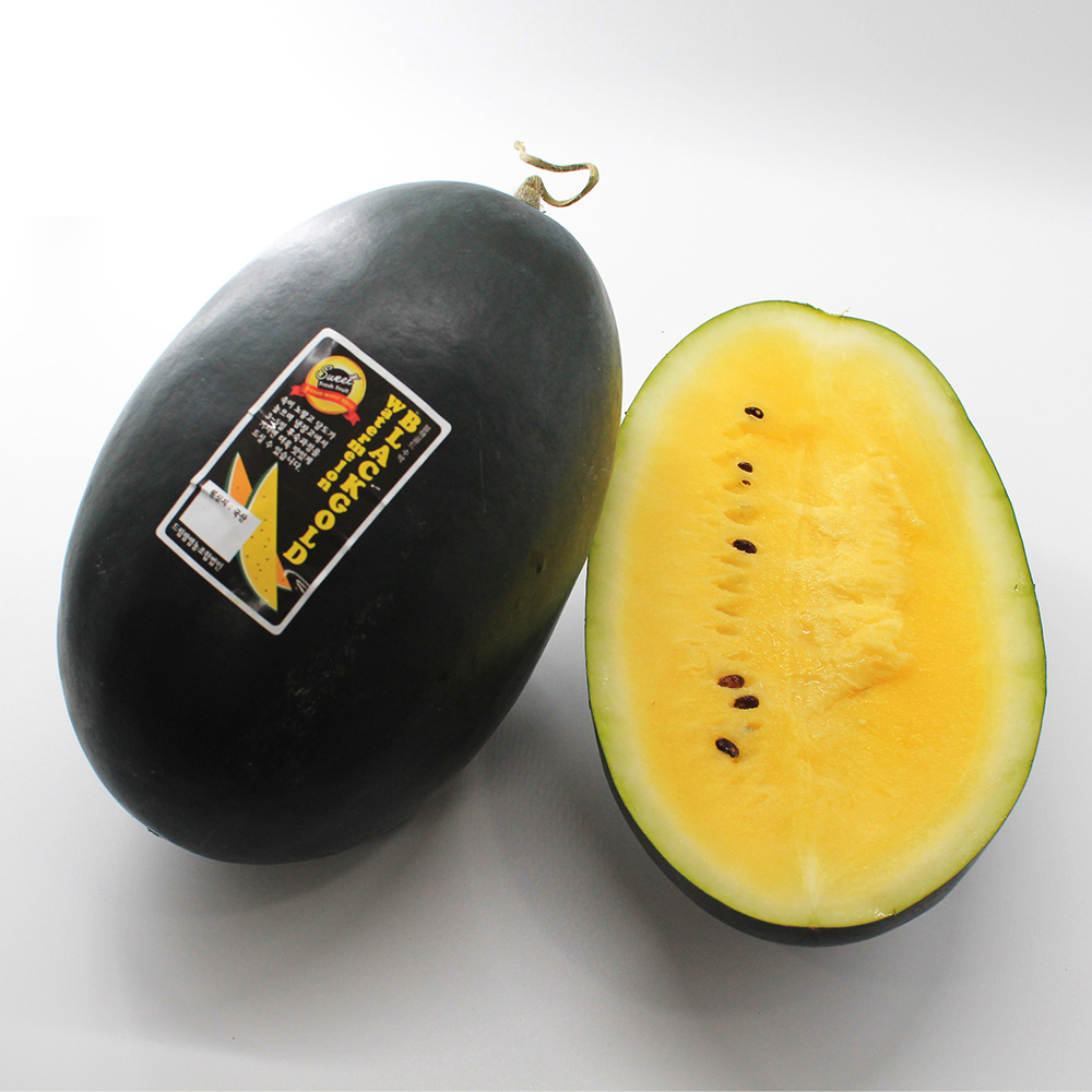 1658899884 thumbnail