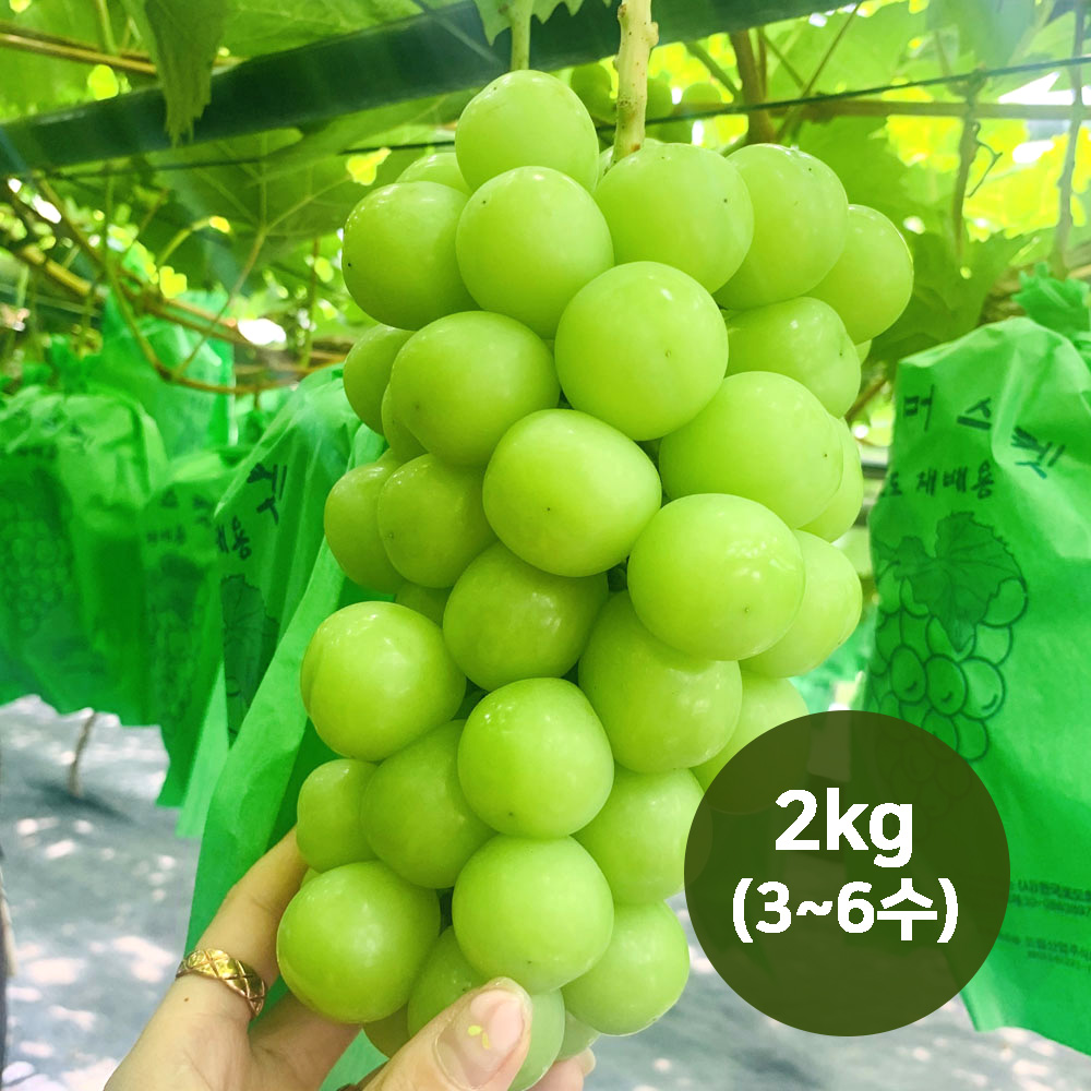 1659064533 thumbnail