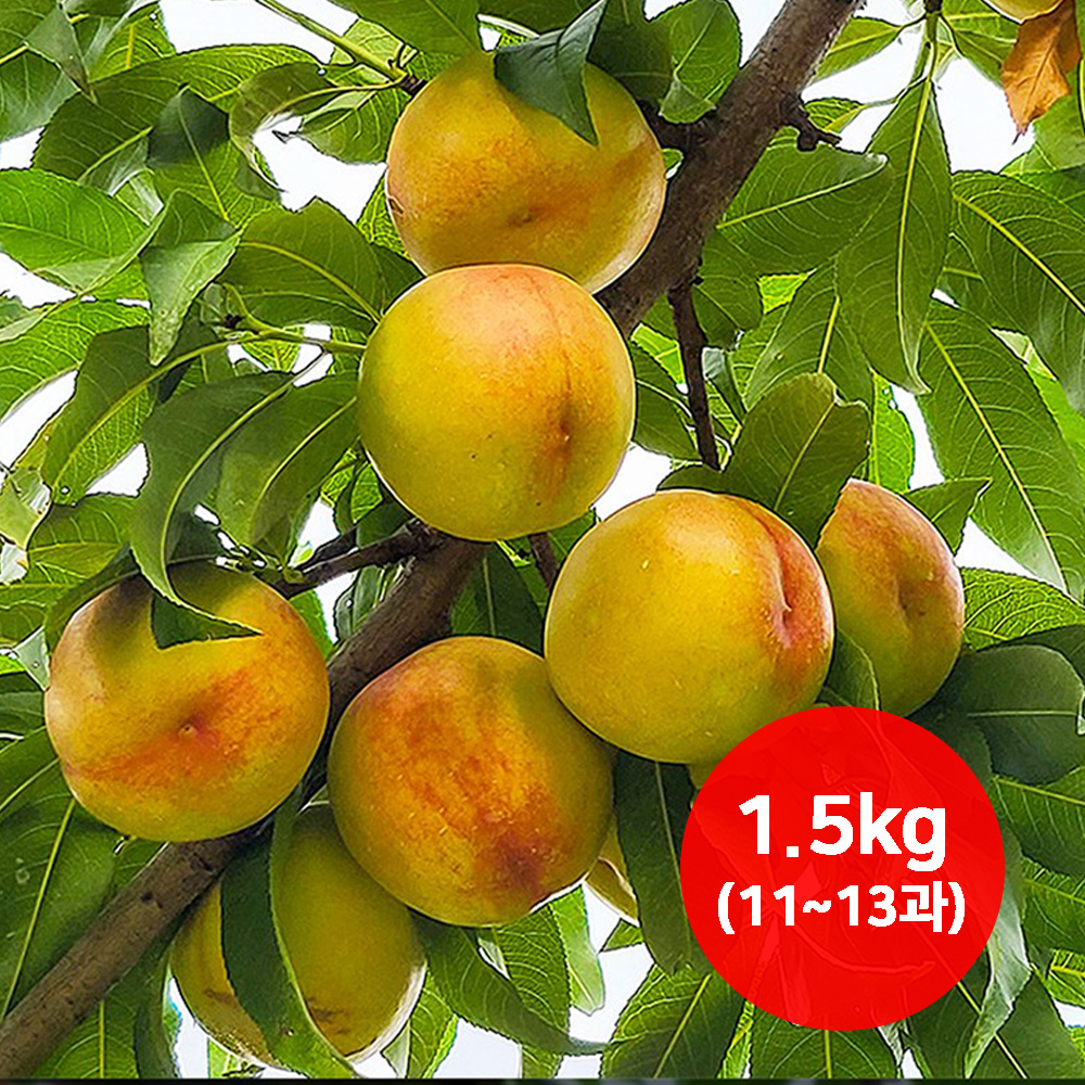 1659064541 thumbnail