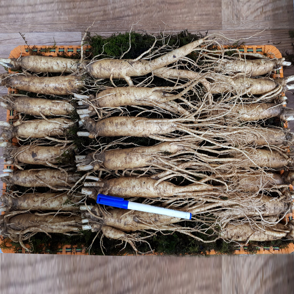 1659073913 thumbnail