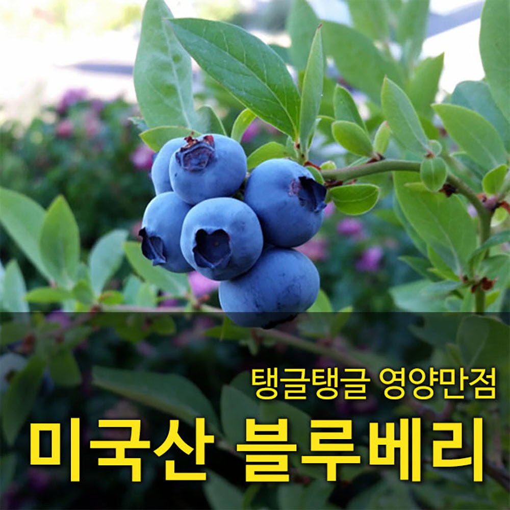 1659345961 thumbnail