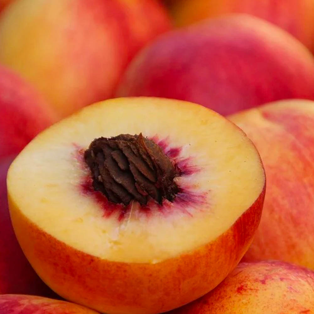 1659421195 thumbnail