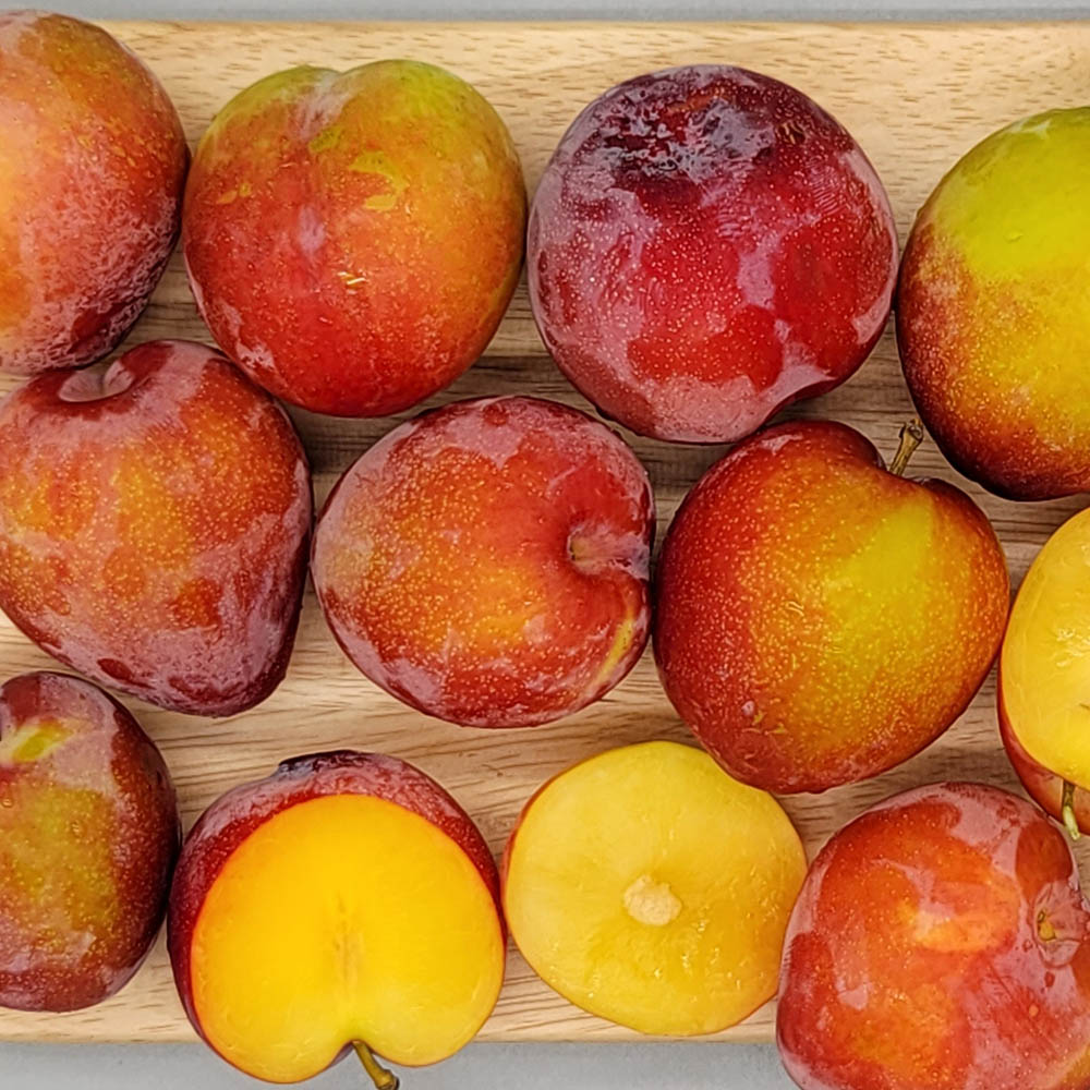 1659421198 thumbnail