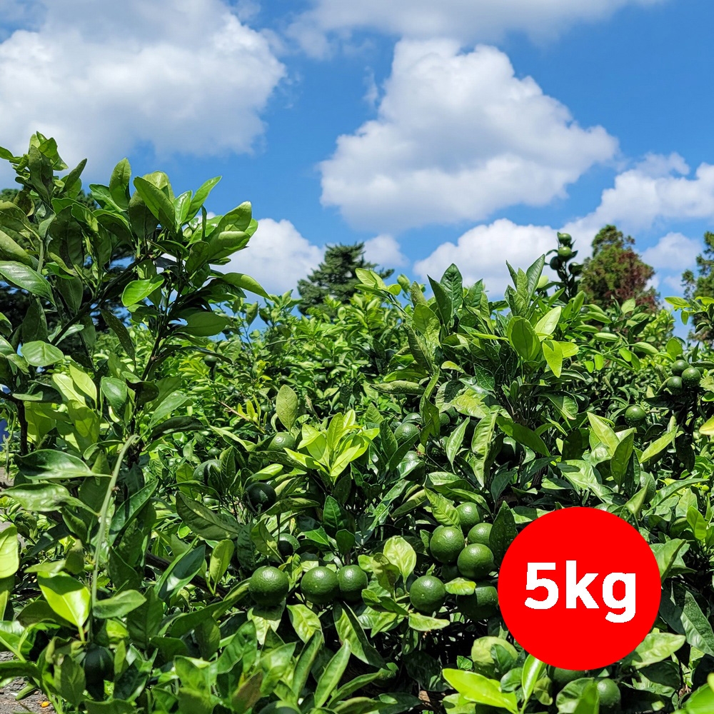 1659505319 thumbnail