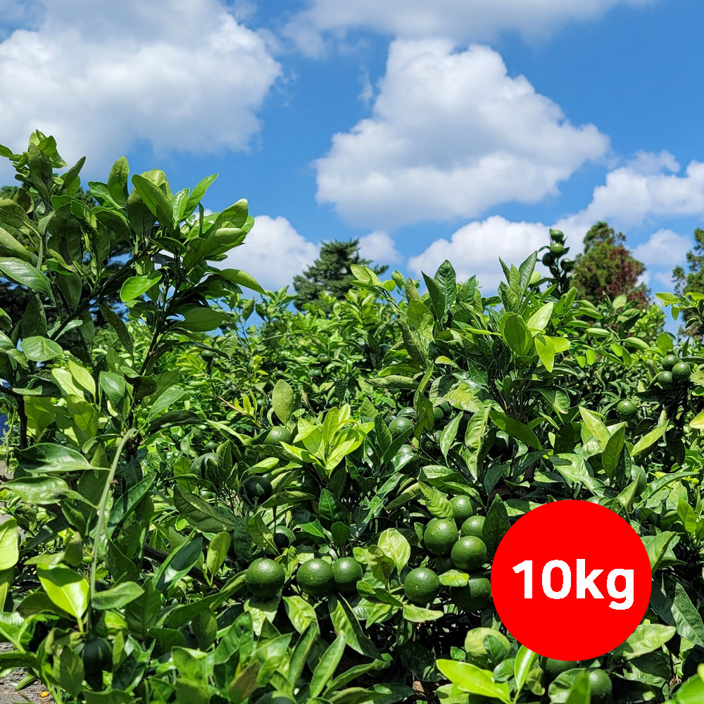 1659505320 thumbnail