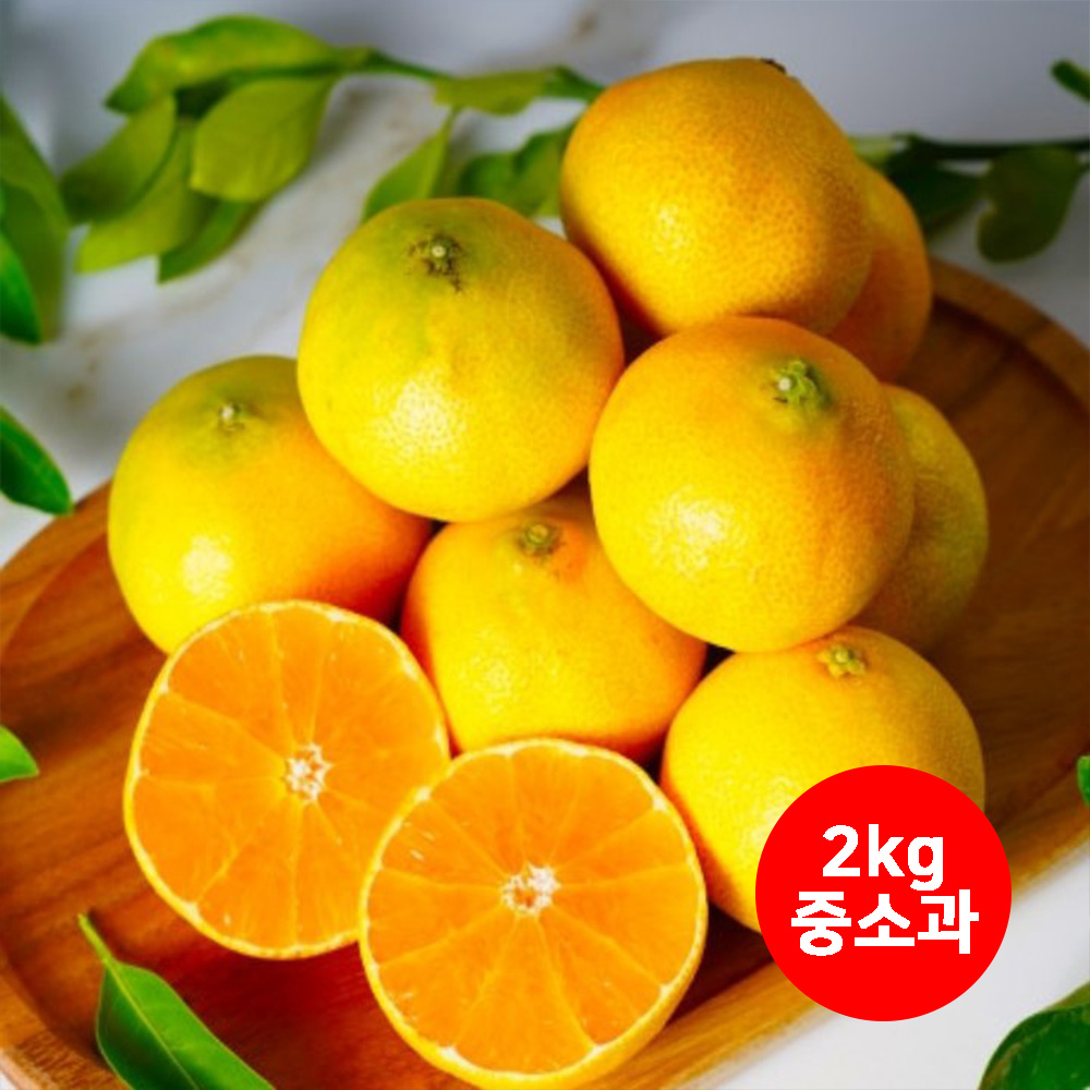 1659505338 thumbnail