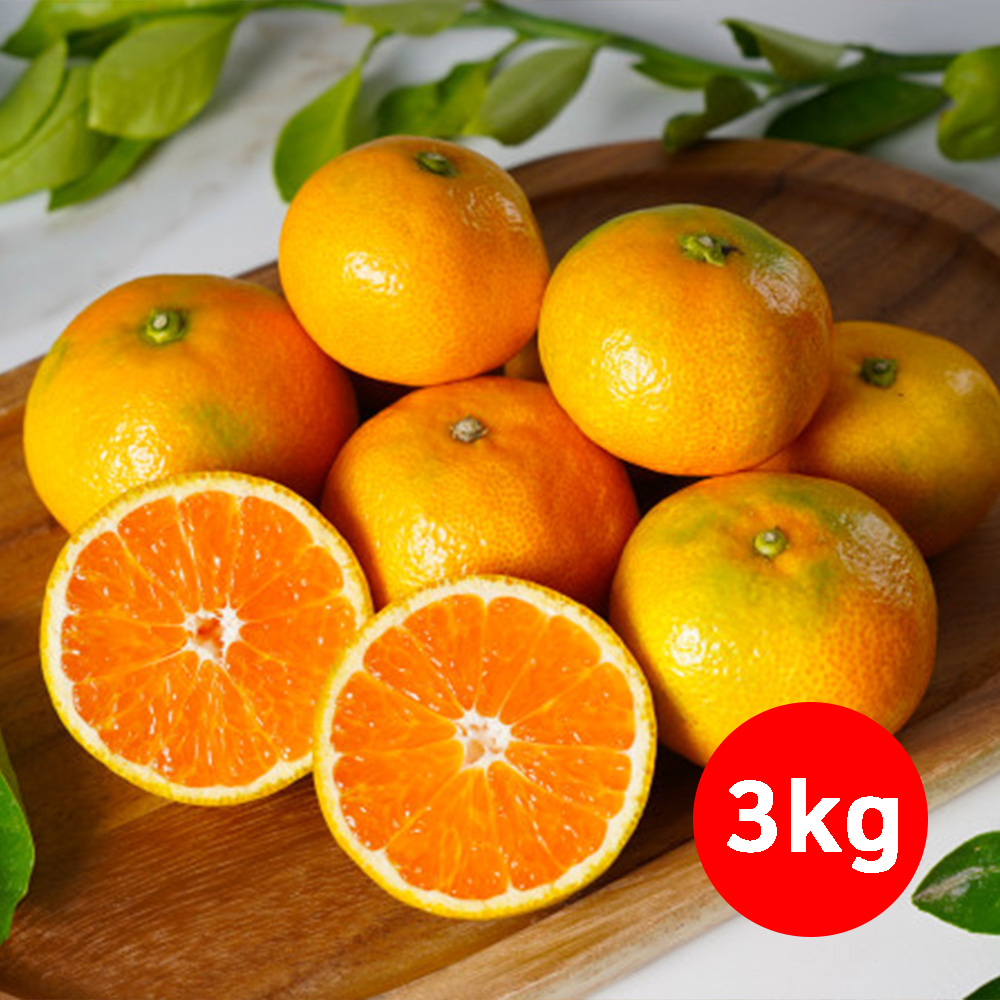 1659505346 thumbnail