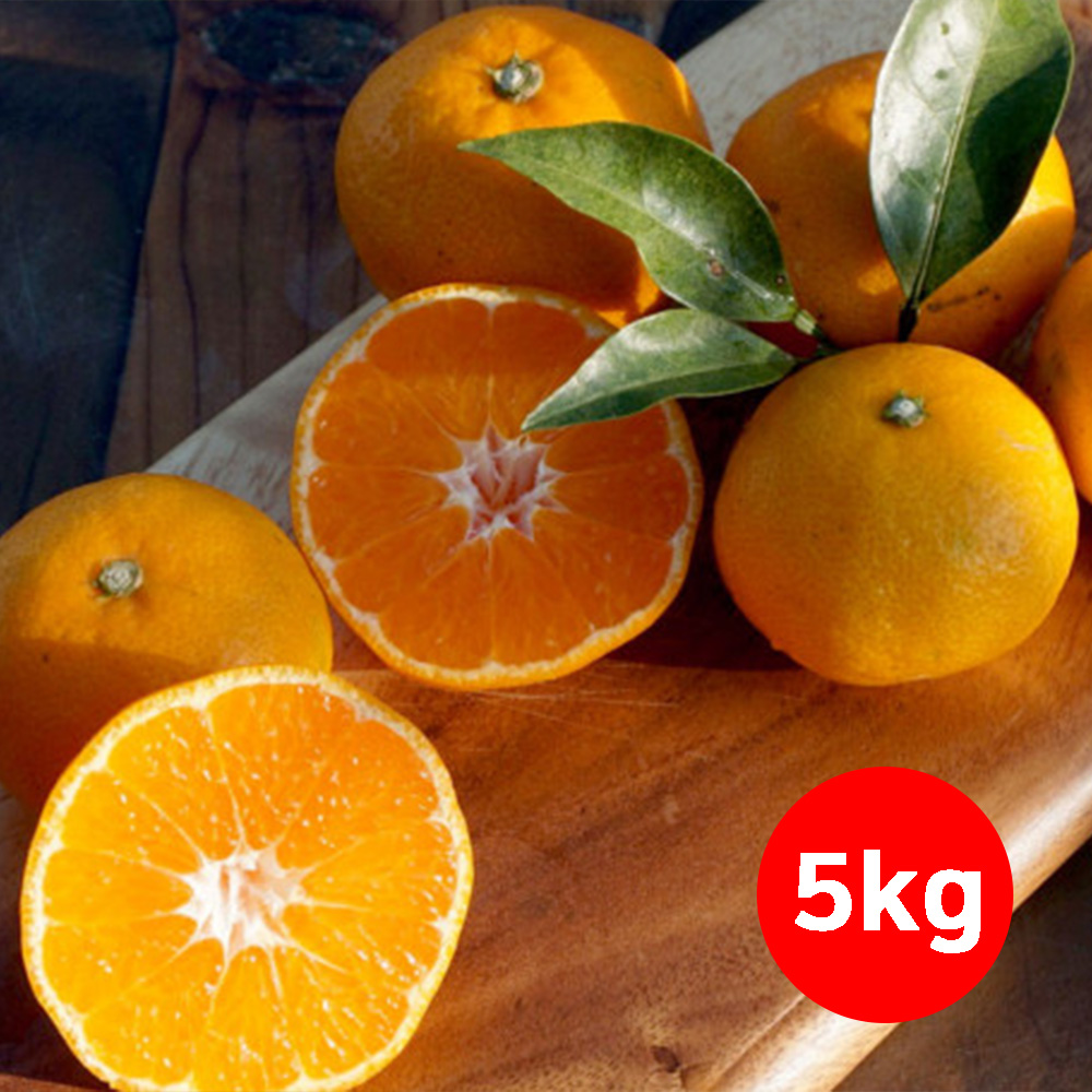 1659505349 thumbnail