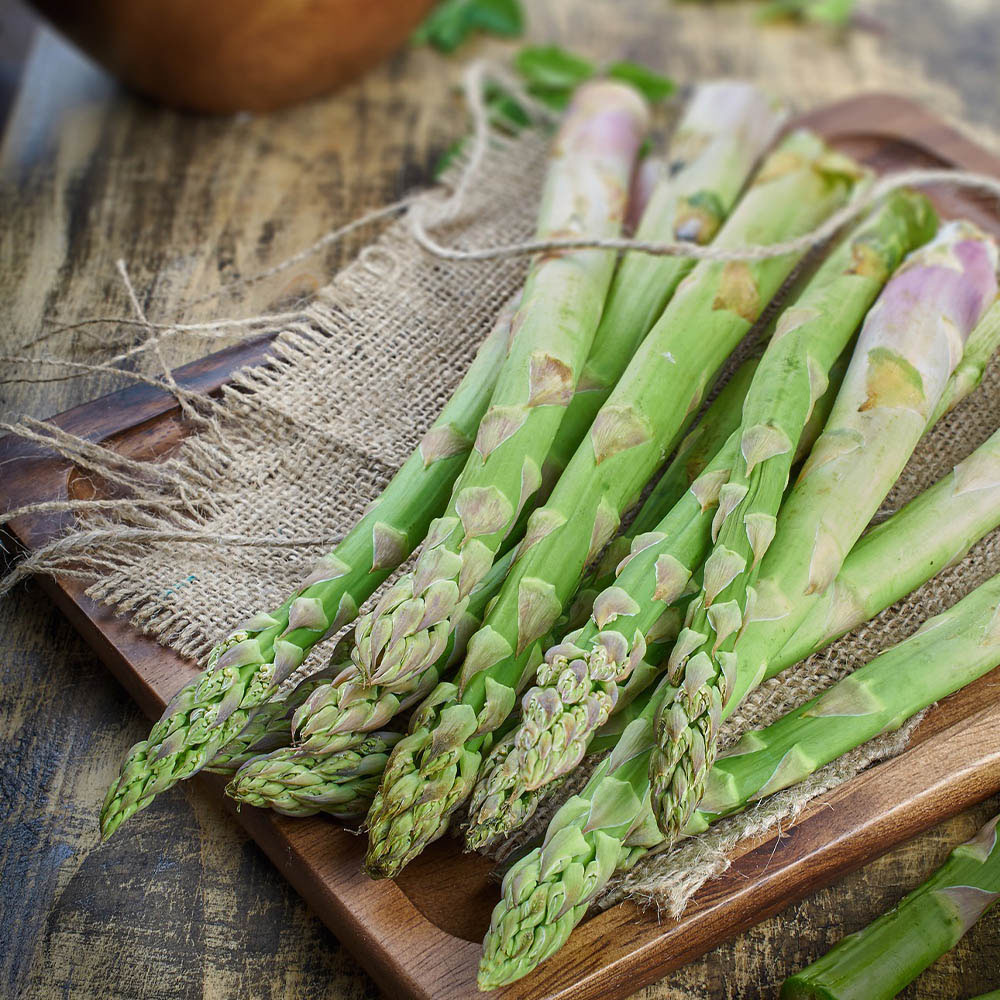 1659511580 thumbnail