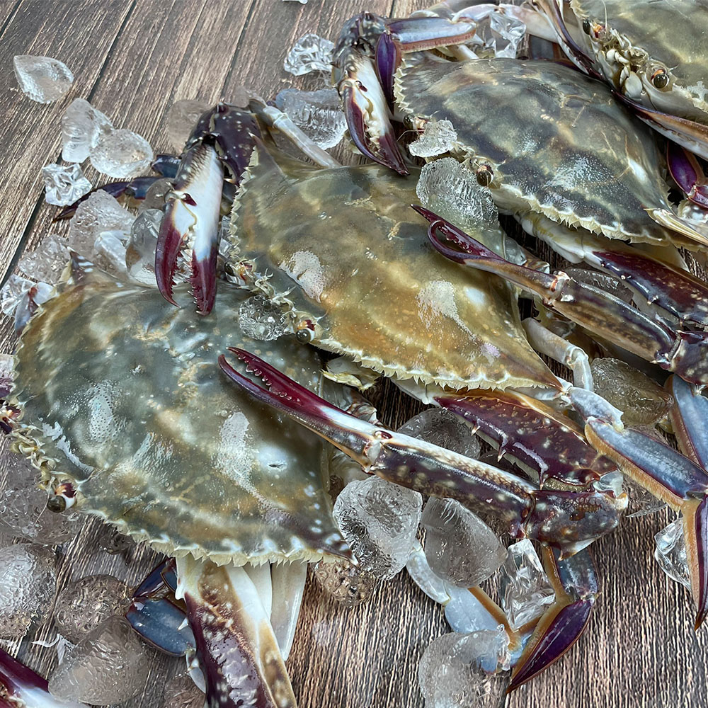 1659685430 thumbnail