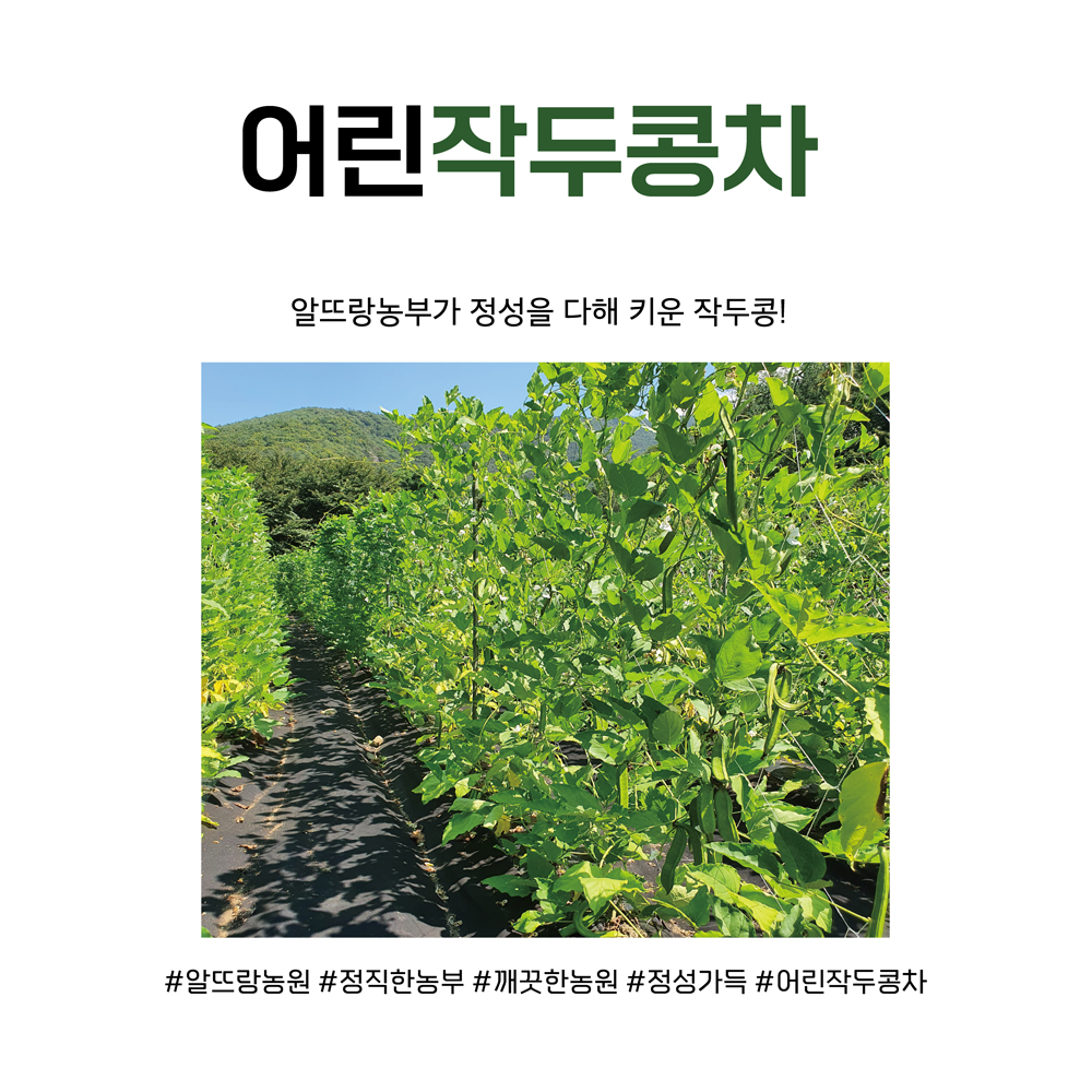 1660022060 thumbnail