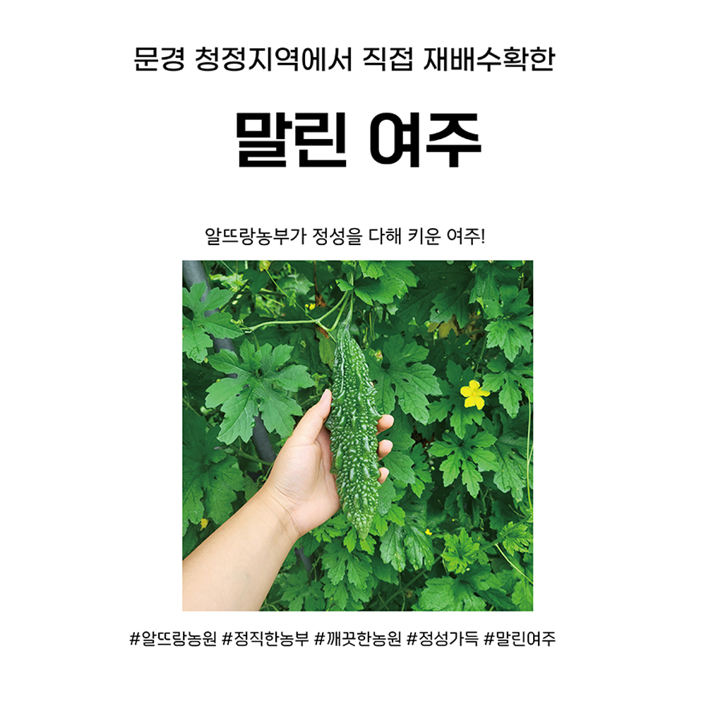 1660022061 thumbnail