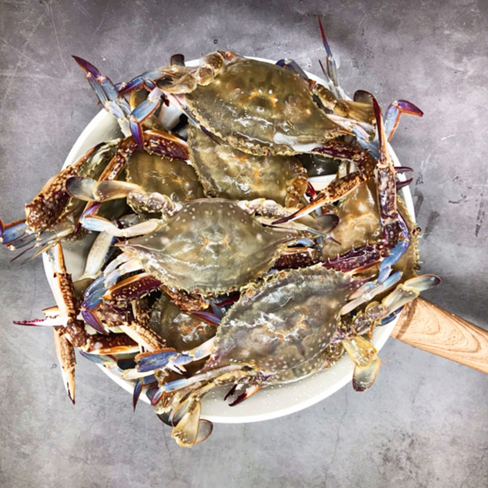 1660192174 thumbnail