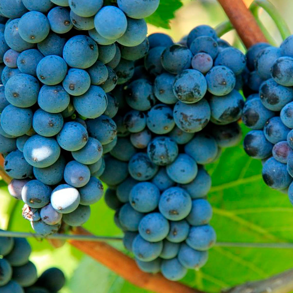 1660192178 thumbnail