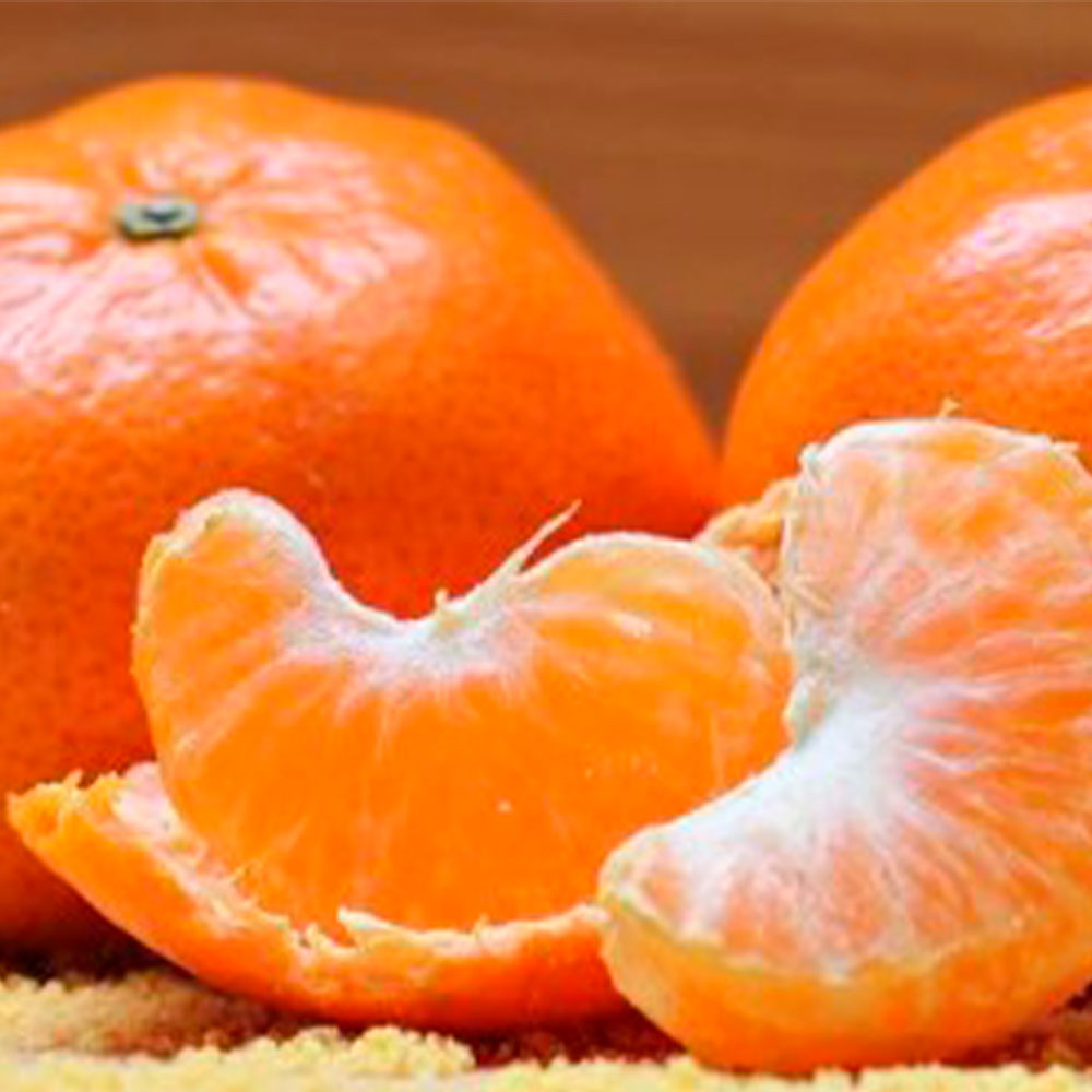 1660192180 thumbnail