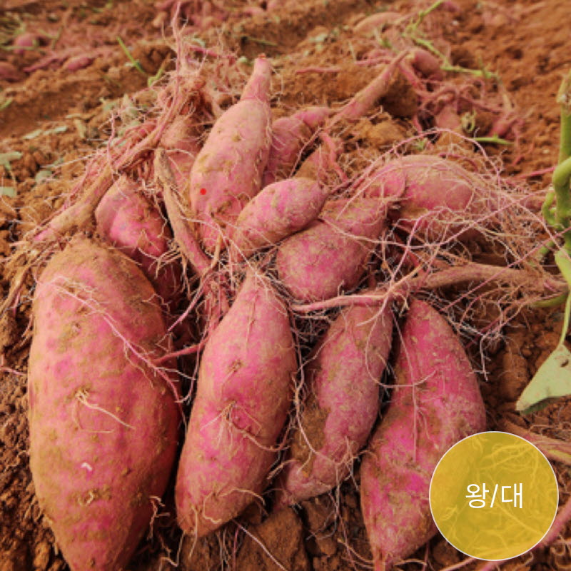 1660293313 thumbnail