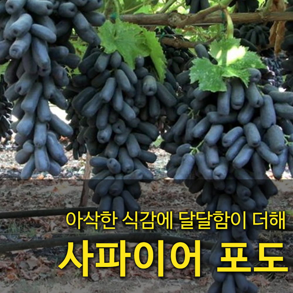 1660293324 thumbnail