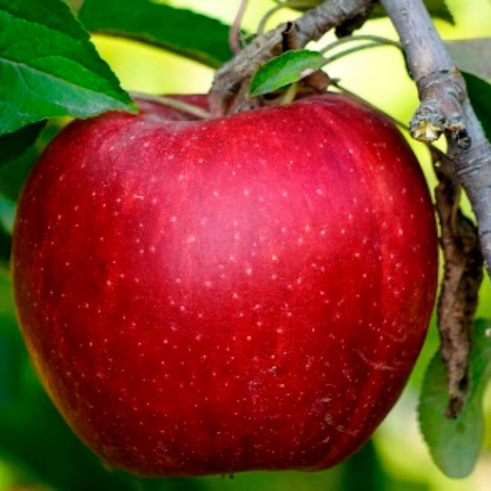 1661145269 thumbnail