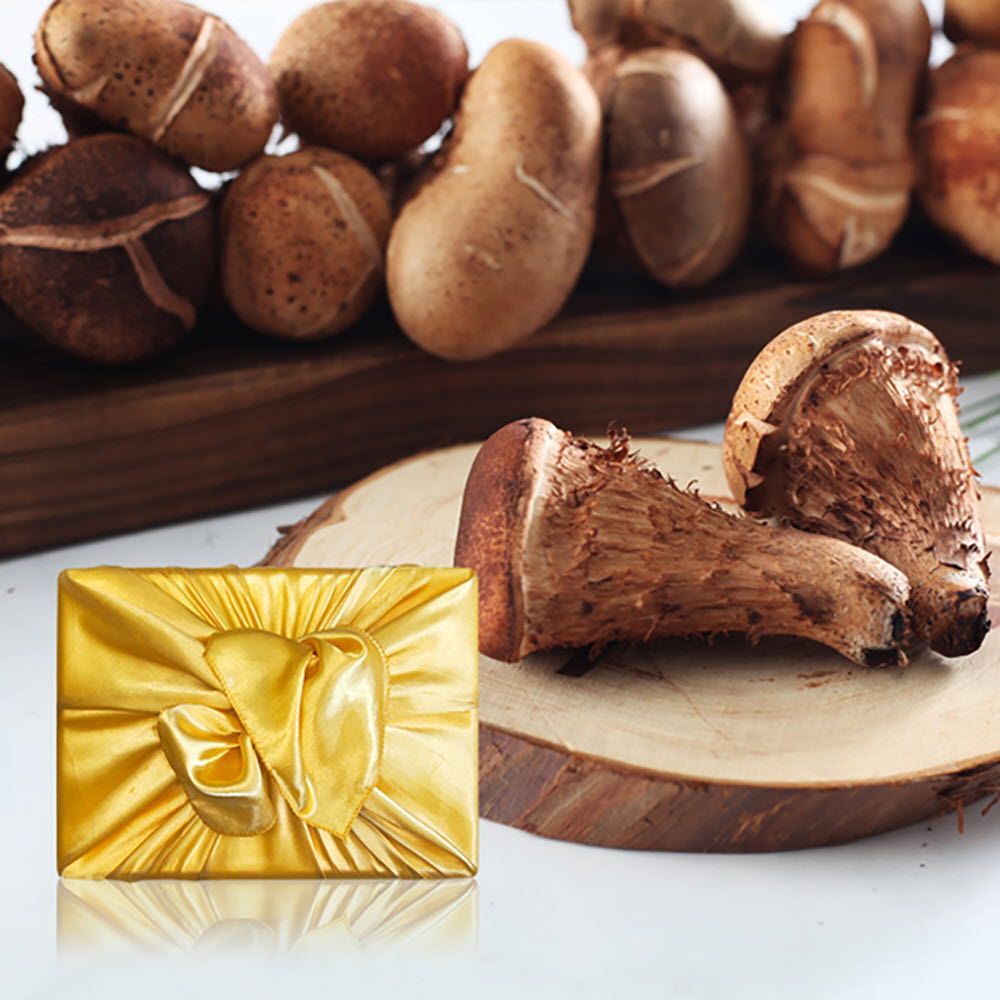 1661229839 thumbnail