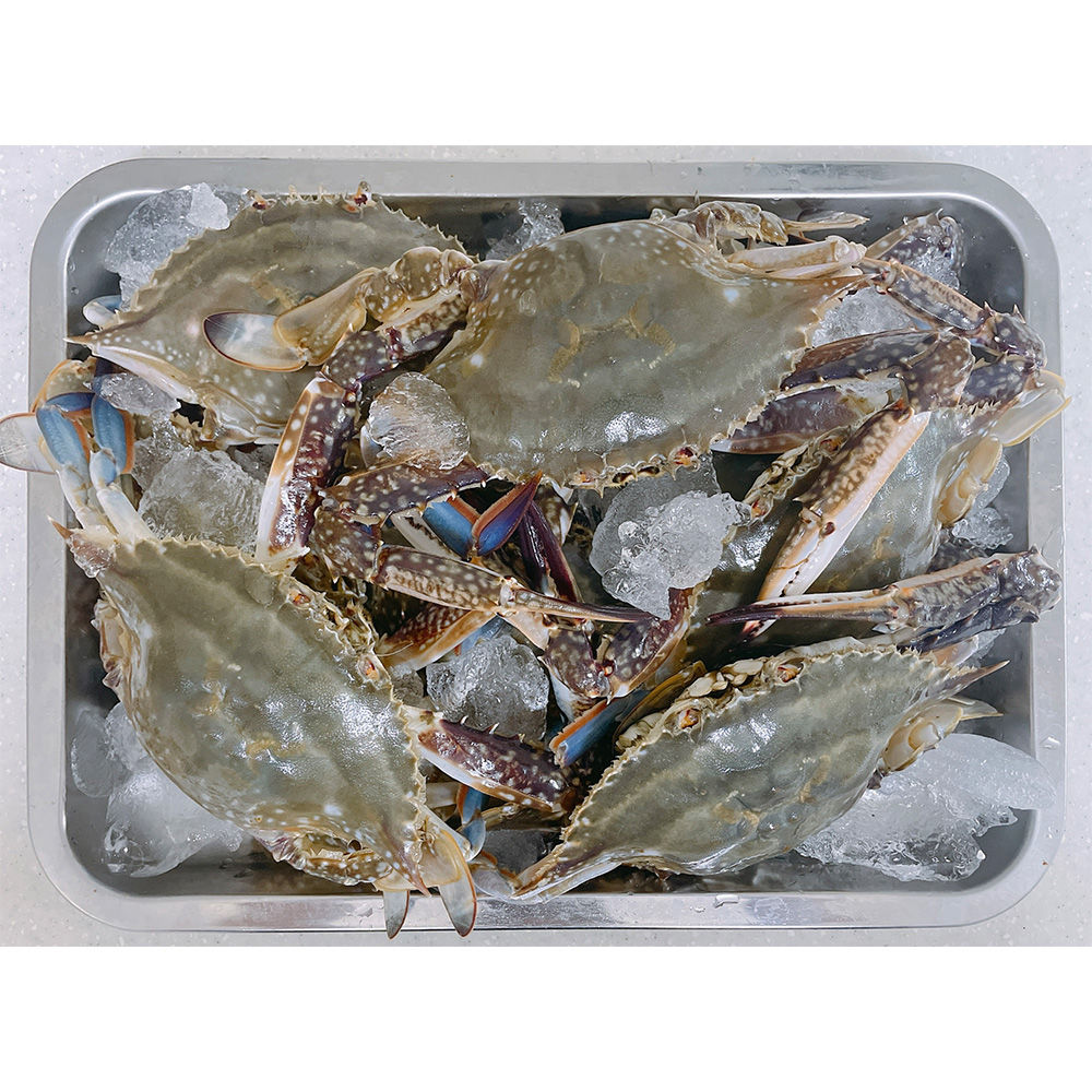 1661318855 thumbnail