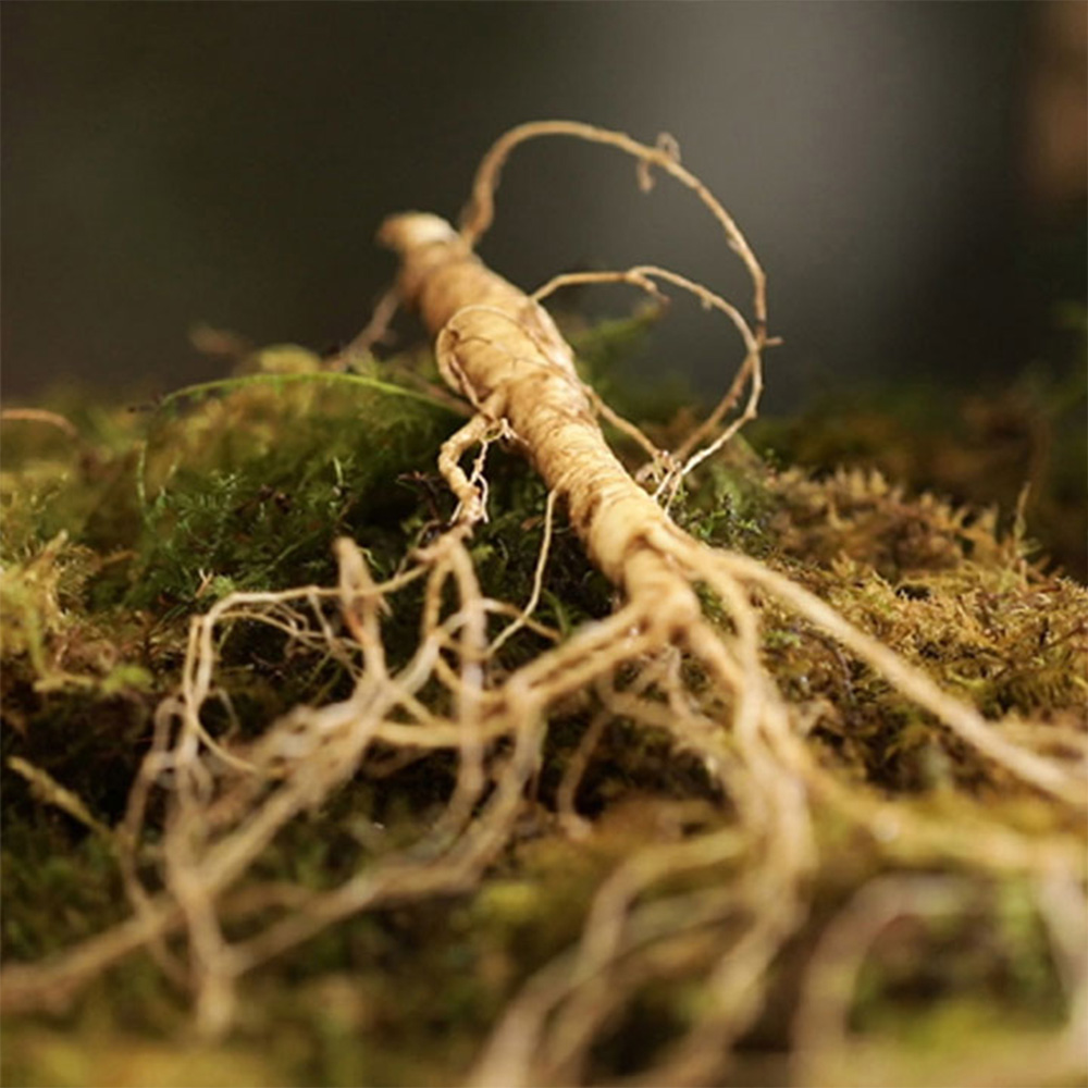 1661319075 thumbnail