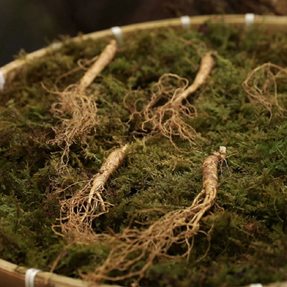 1661319077 thumbnail