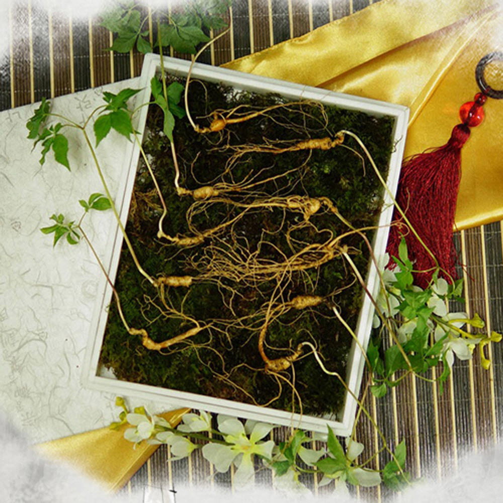 1661419482 thumbnail