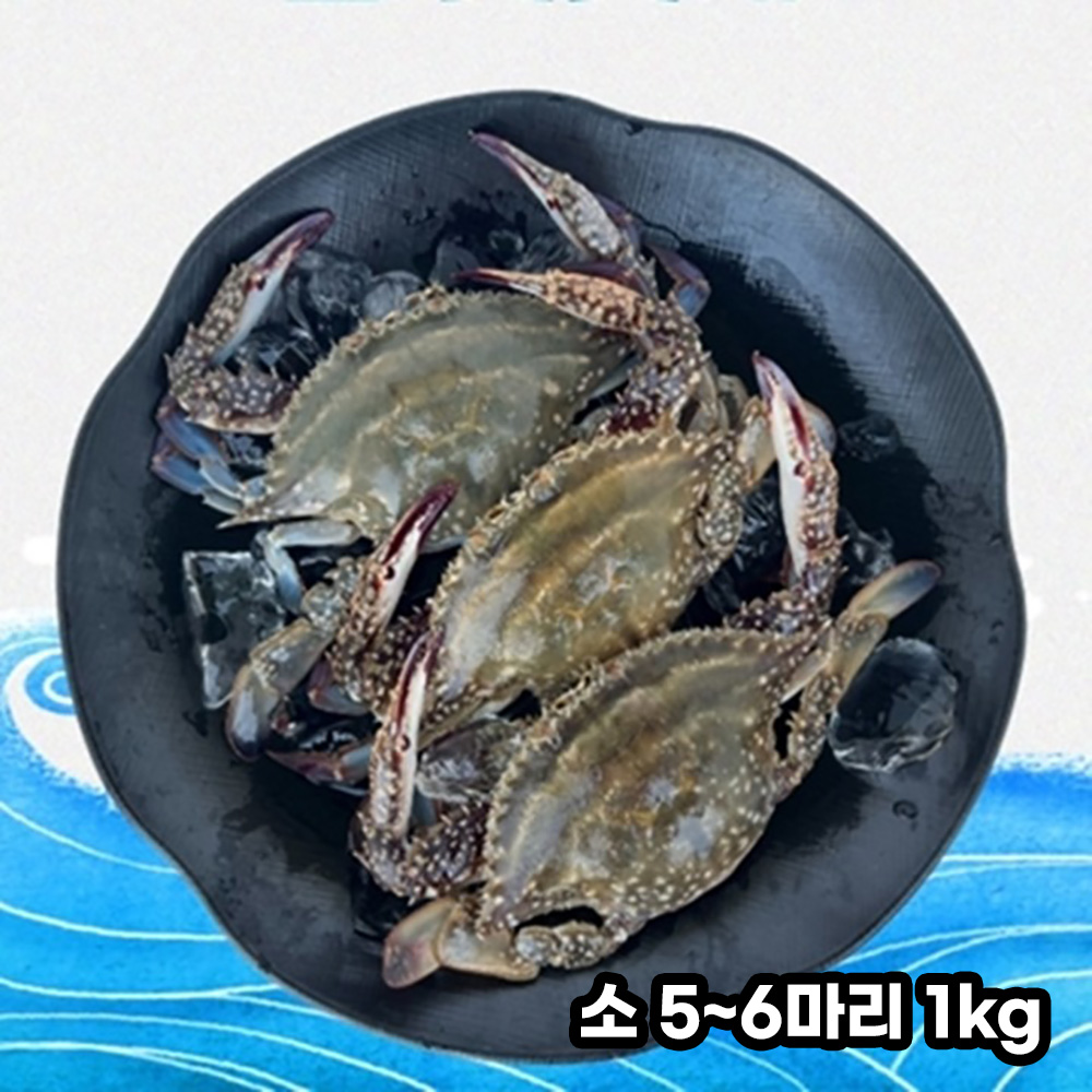 1661843837 thumbnail