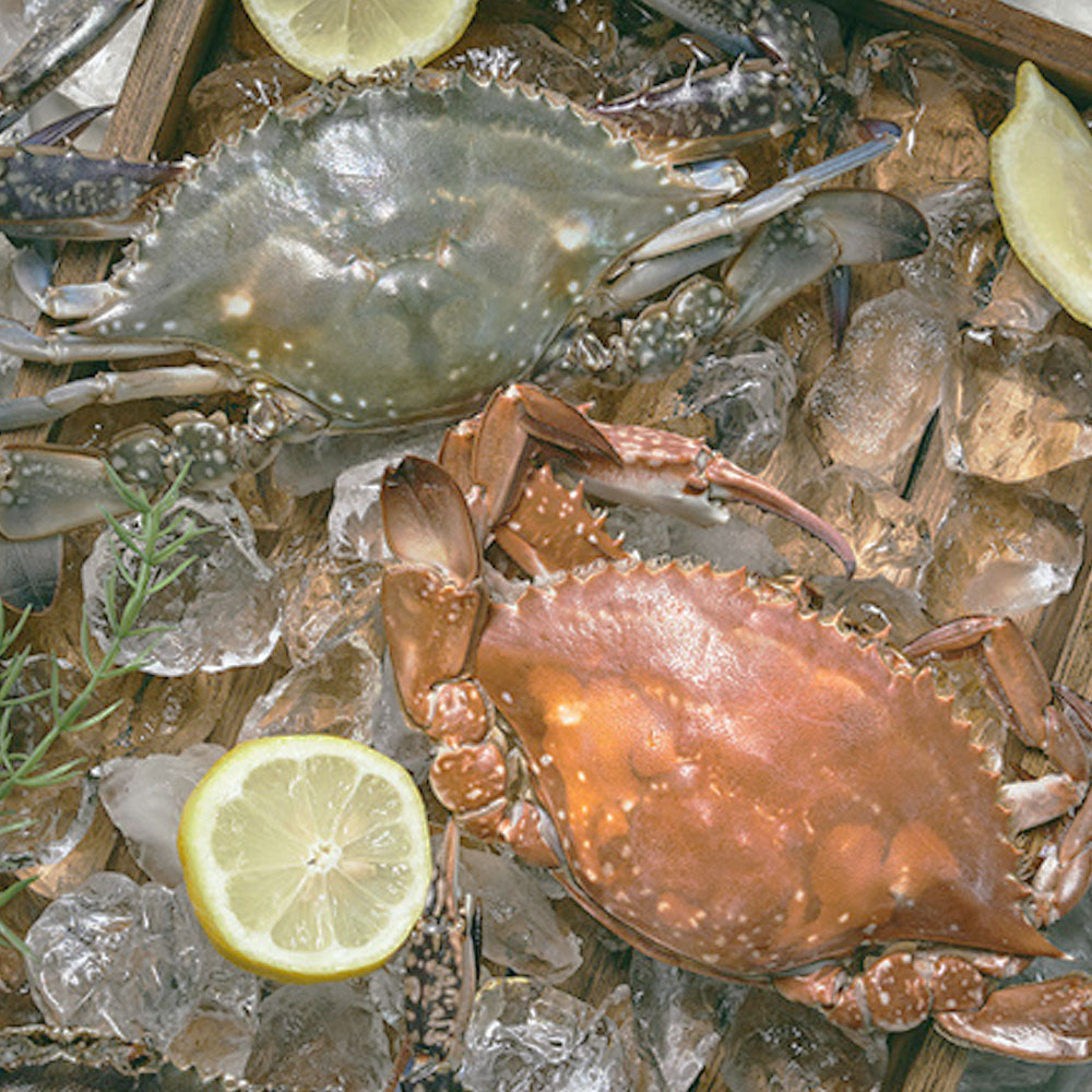 1661843865 thumbnail